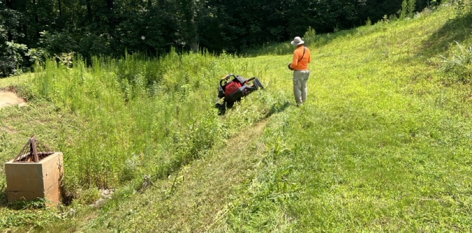 RC Mower in action