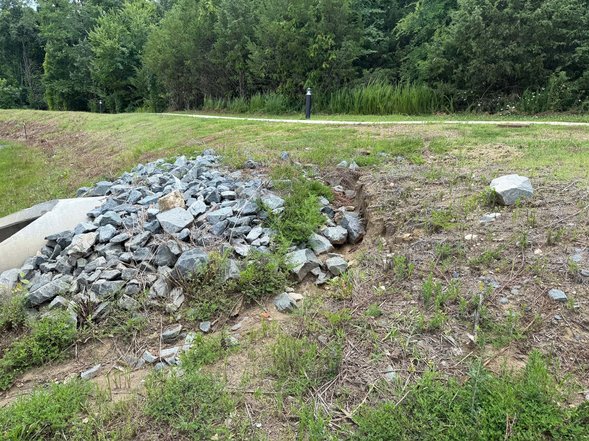 Stormwater pond bank maintenance with clean edges and open sightlines