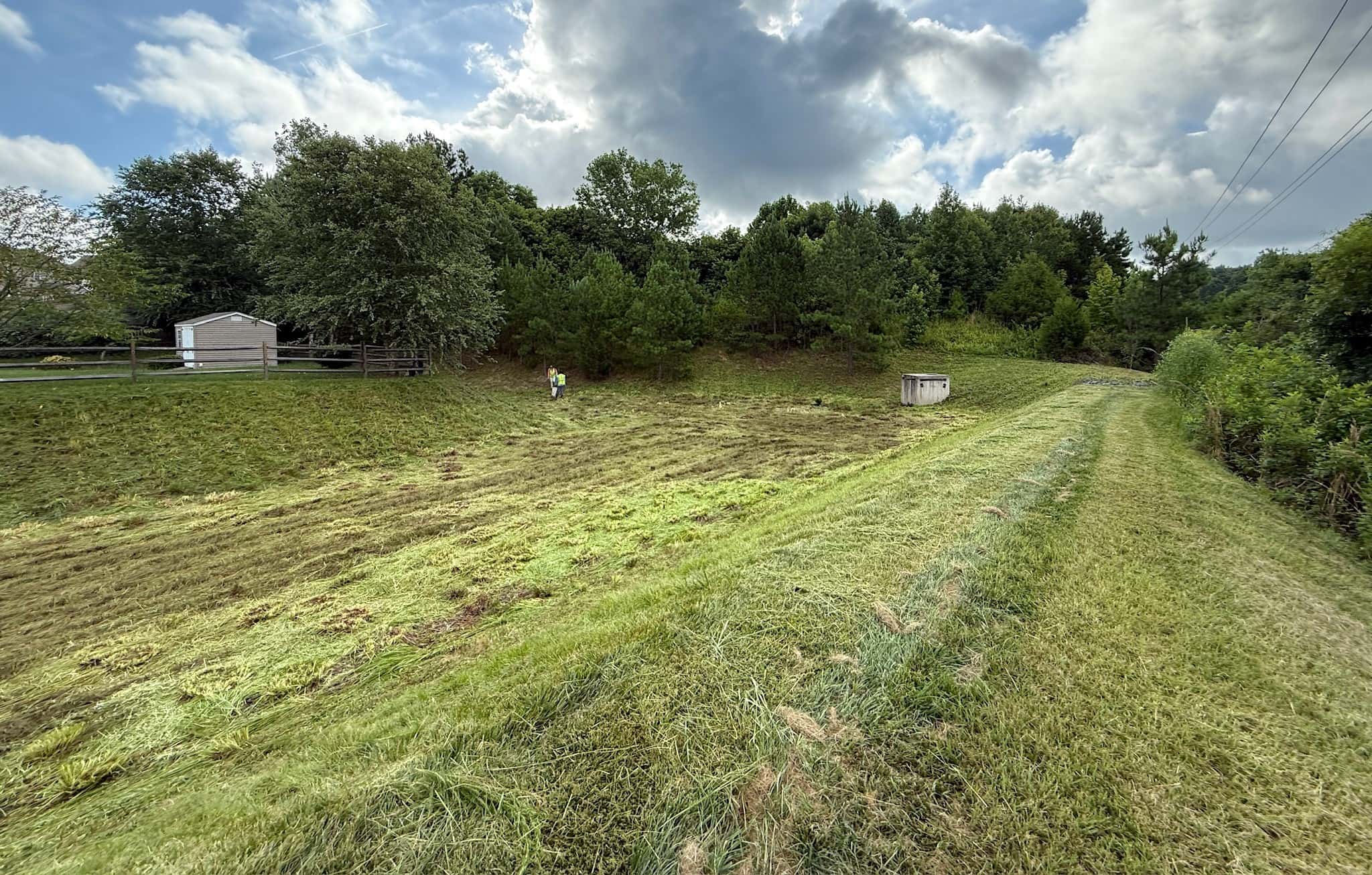 Vegetation management around a stormwater pond with crisp edges, invasive control, and brush cutting